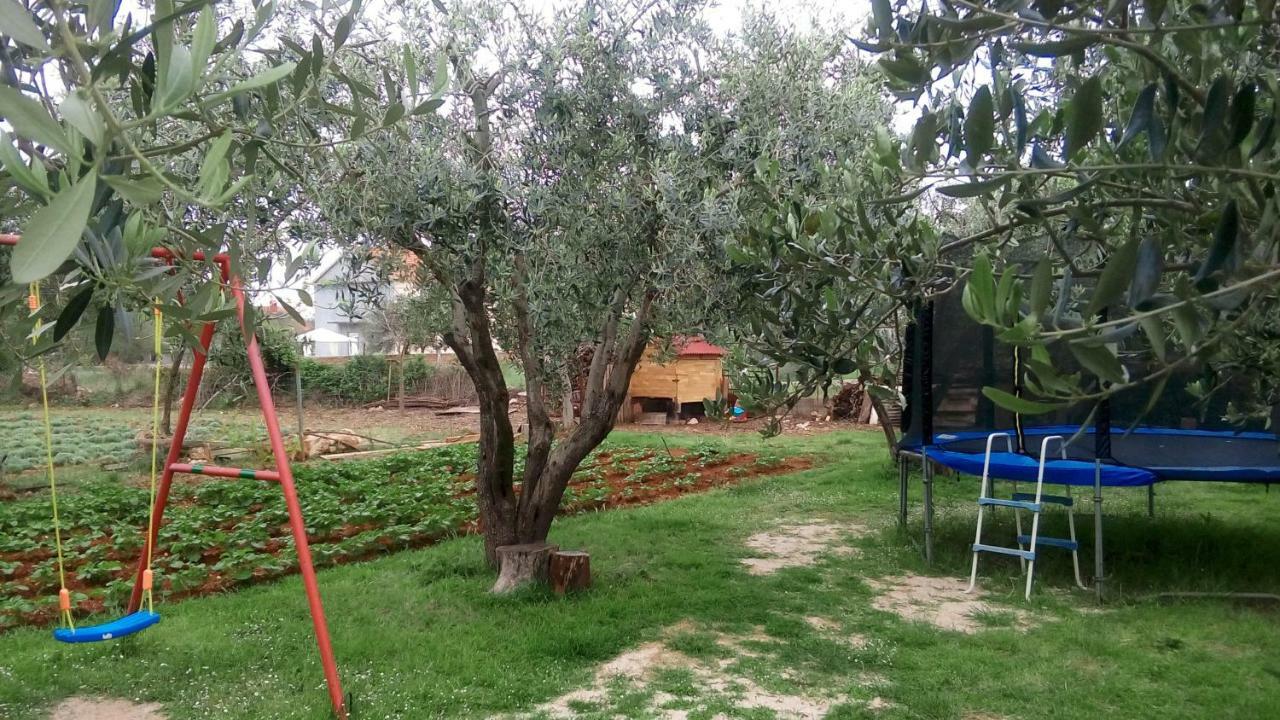 Apartmani Dana Sukošan Bagian luar foto